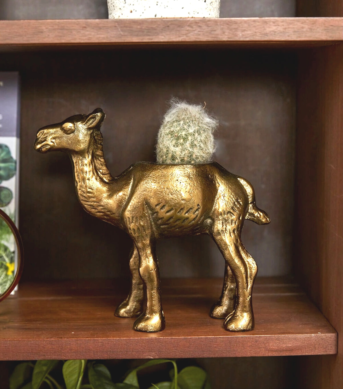 Kharai Camel Pot image 2