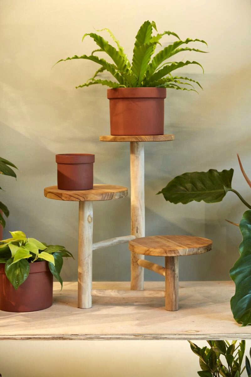 Obispo Tiered Teak Stand image 0