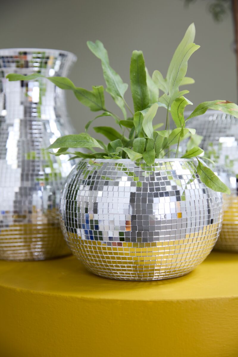 Disco Pot Collection  image 5