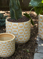 Sun Dial Planter Collection image 4