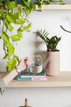 Pequeno Watering Vessel image 2