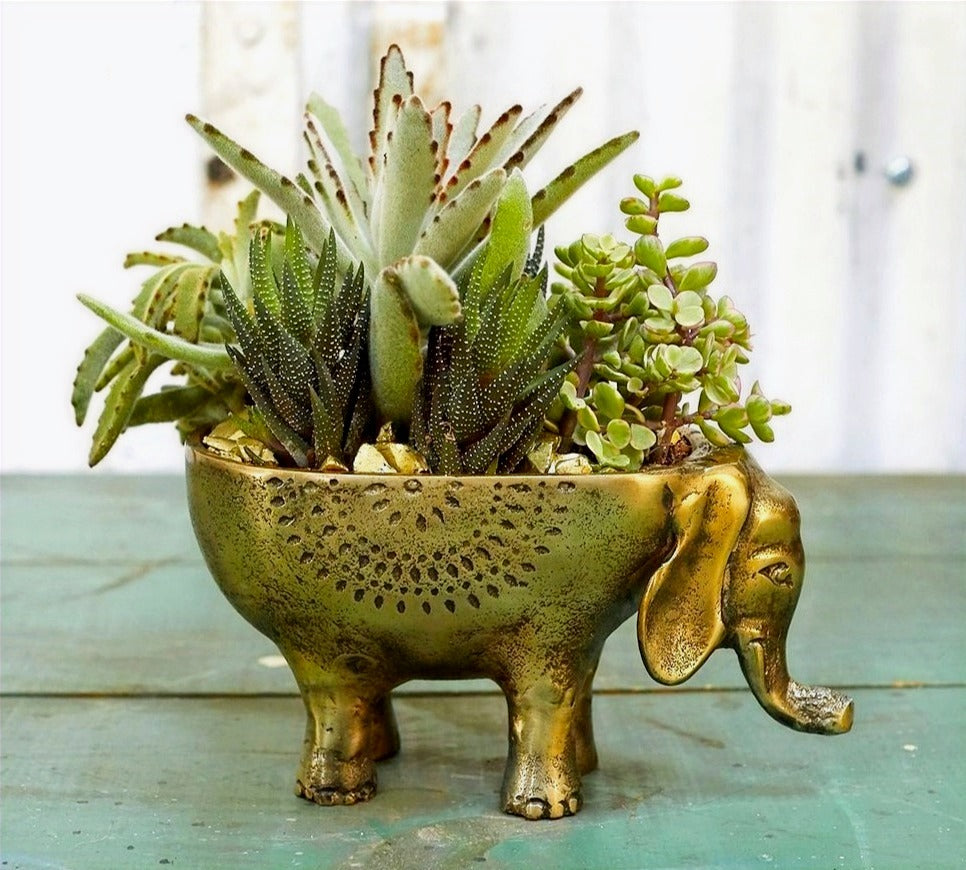 Ezzie Elephant Pot image 0