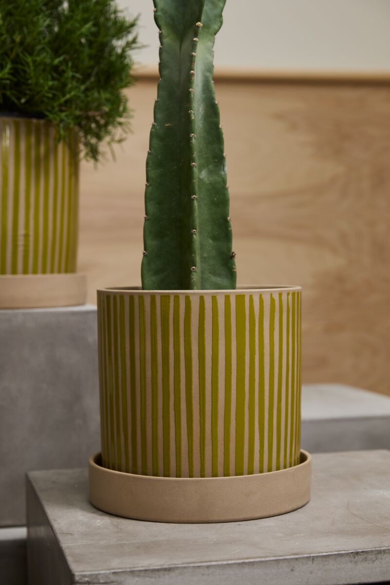 Planter with Saucer  image 4