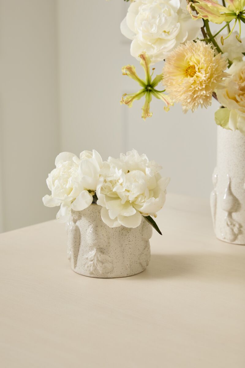 Veggie Pot Collection  image 8