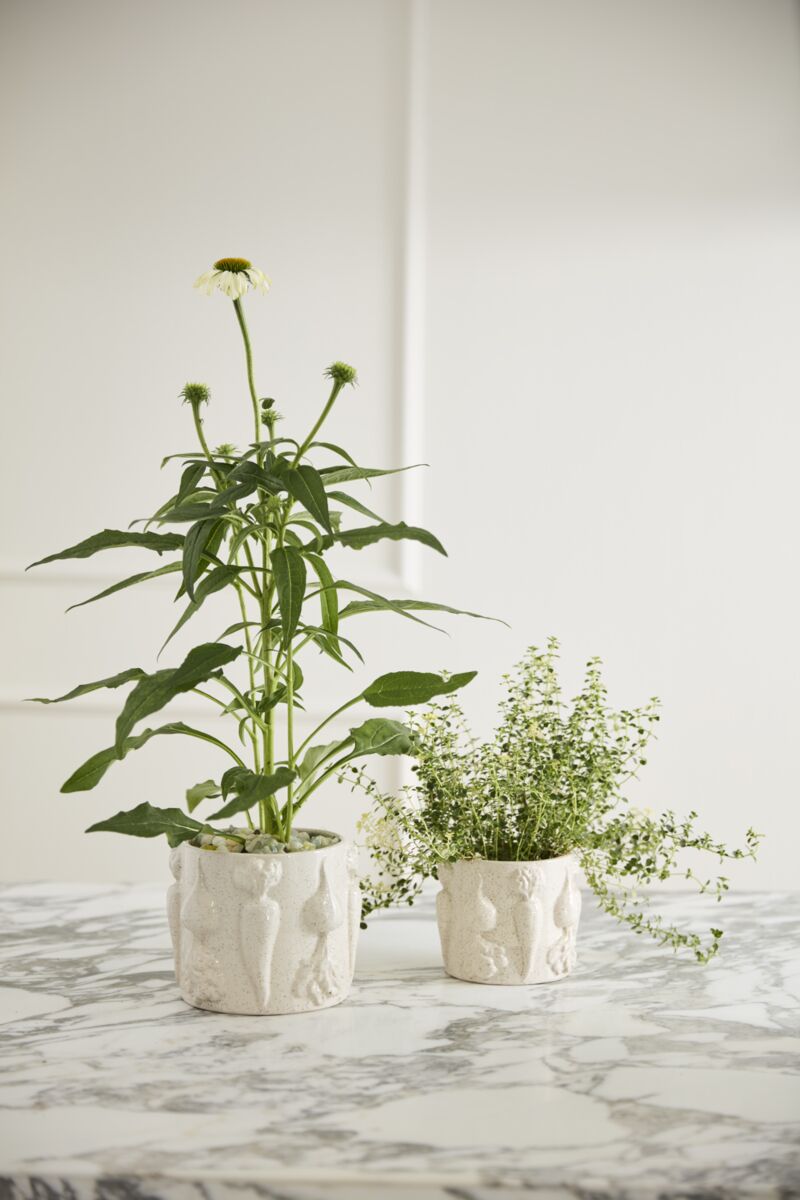 Veggie Pot Collection  image 7
