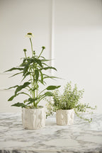 Veggie Pot Collection  image 7