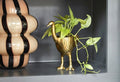 Oliver Ostrich Pot image 0