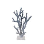 Coral Reef Collection image 3