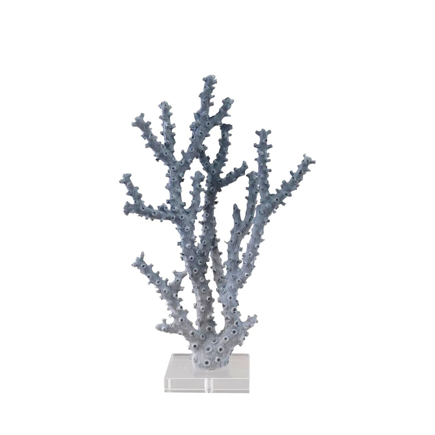 Coral Reef Collection image 3