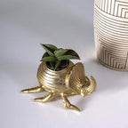 Golden Scarab Pot image 3