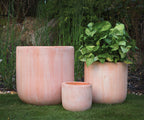 Laredo Planter Collection  image 0