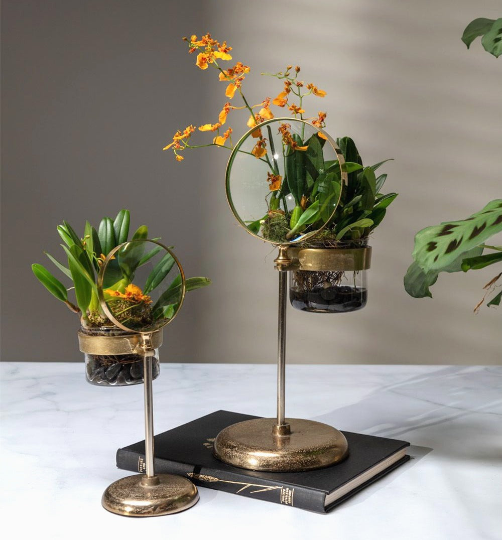 Magnifying Spyglass Pot and Stand image 0