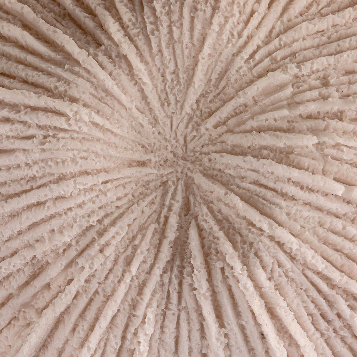 Lumine Coral Lamp  image 3