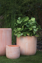 Laredo Planter Collection  image 7