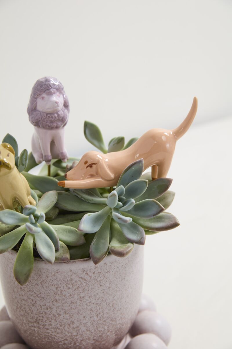 Playful Pups Plant Sticks (Set of 3) image 3