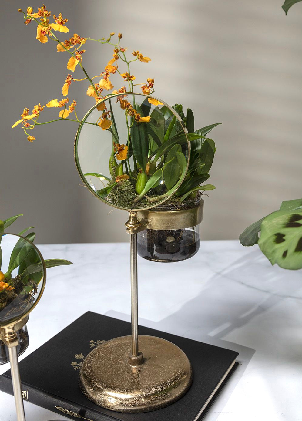 Magnifying Spyglass Pot and Stand image 1