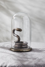 Serpent Cloche  image 1