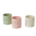Plantisms Pot Collection image 1