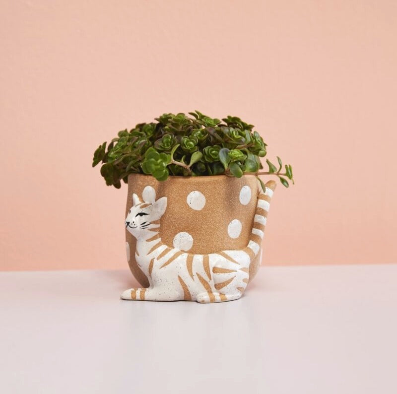 Pampered Pet Pot image 1