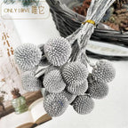 Preserved Globosa Flower image 11
