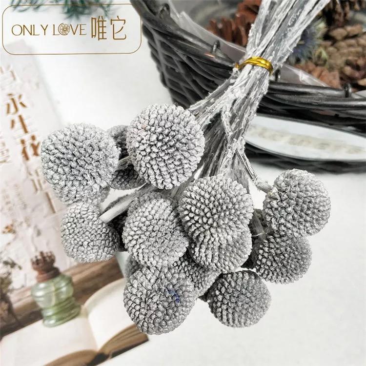 Preserved Globosa Flower image 11