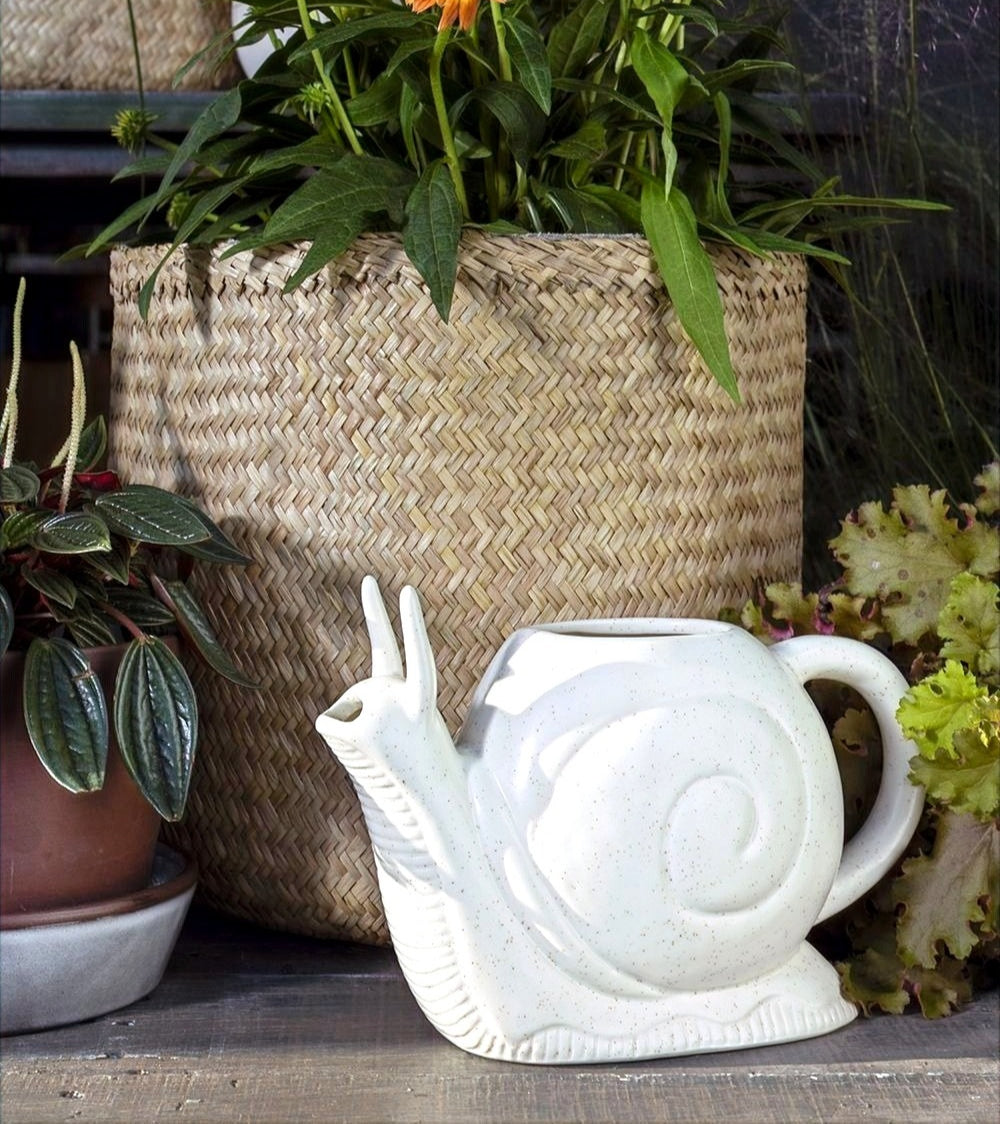 Slowpoke Snail Collection image 1