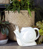Slowpoke Snail Collection image 1