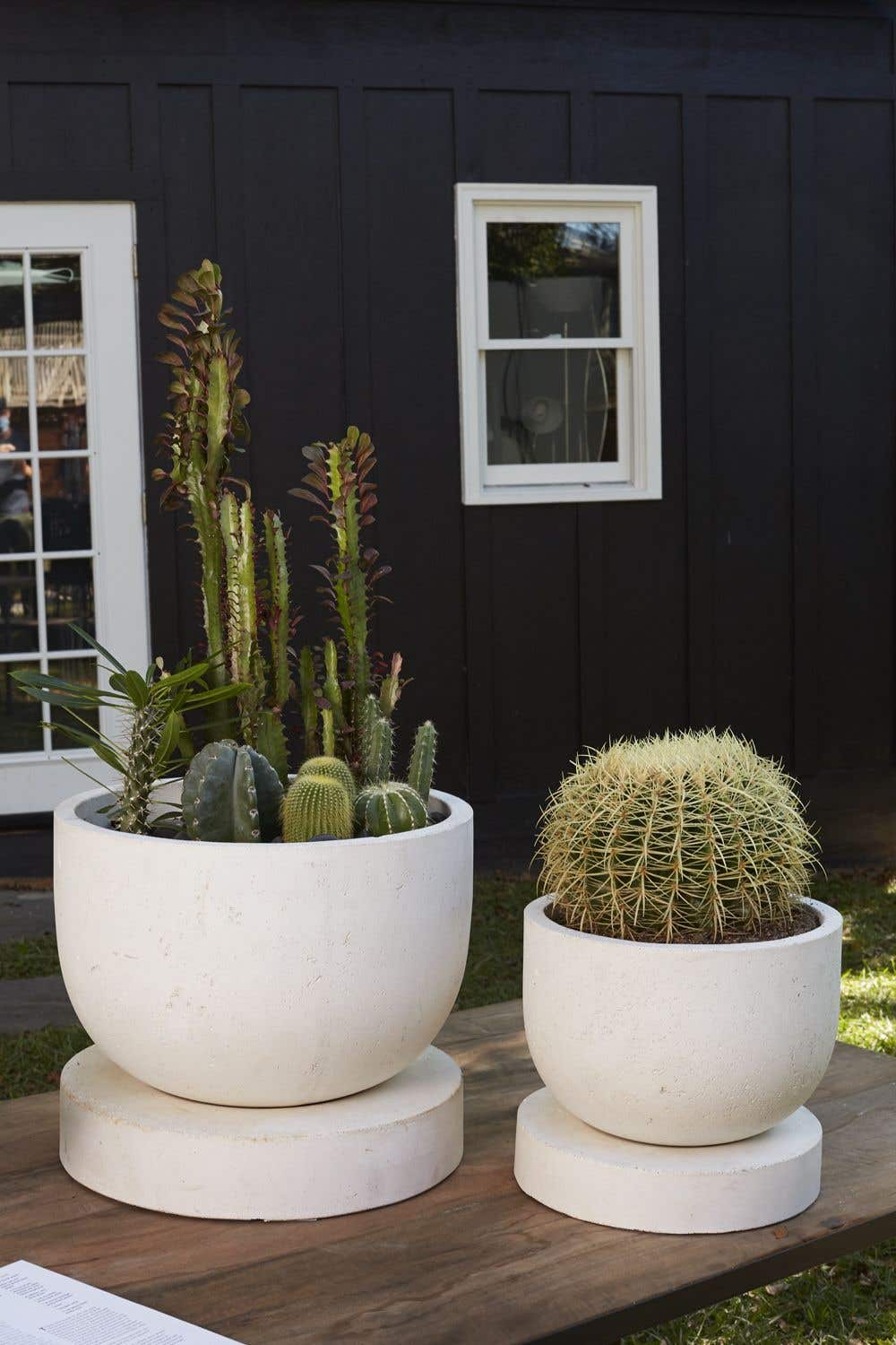 Archer Planter  image 5