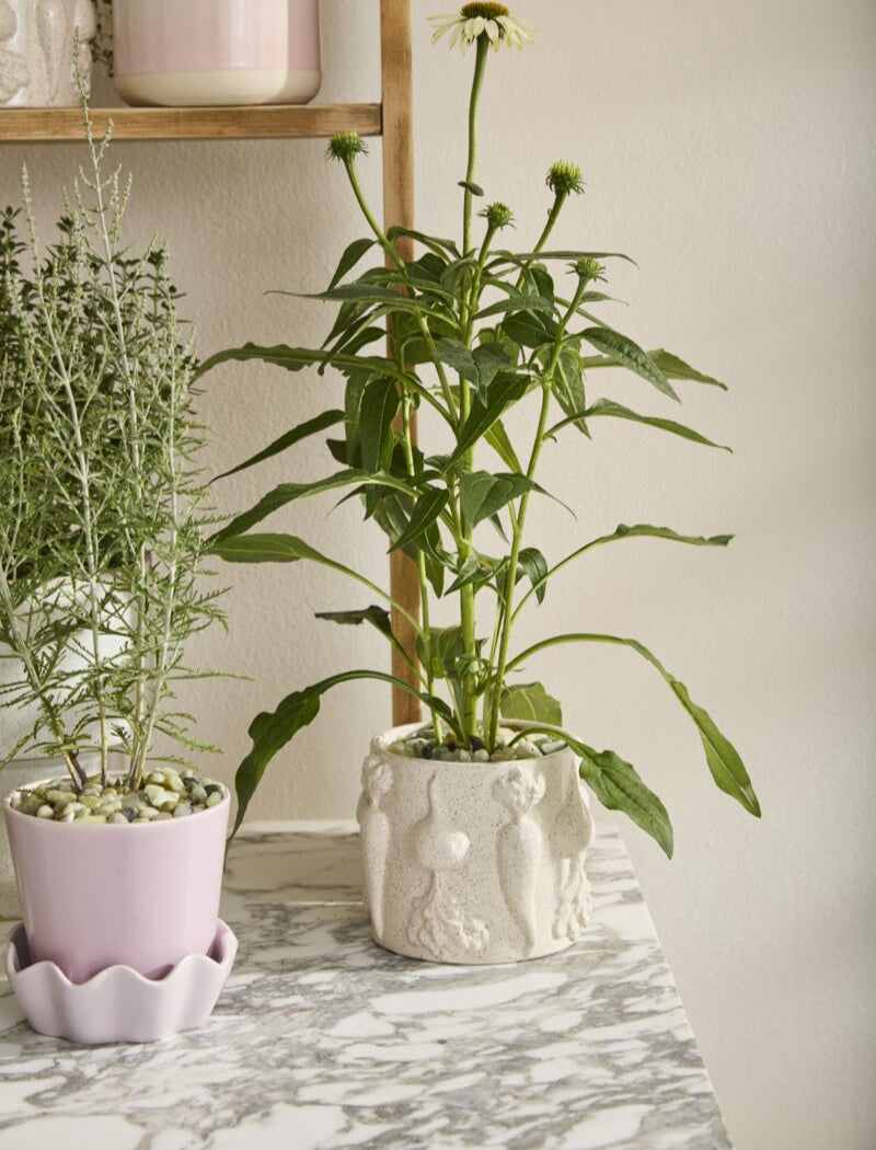 Veggie Pot Collection  image 1