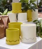 Pissaro Pot image 0
