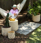 Sun Dial Planter Collection image 5