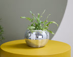 Disco Pot Collection  image 4