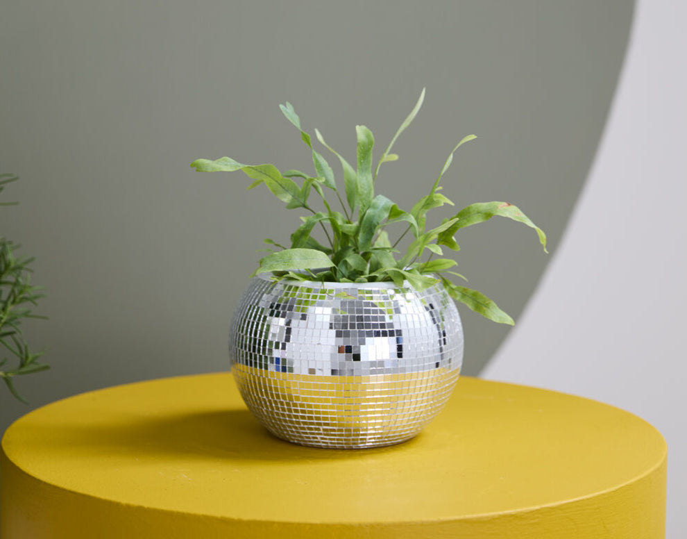Disco Pot Collection  image 4