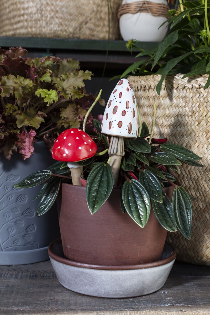 Spore Plant Stick  image 6
